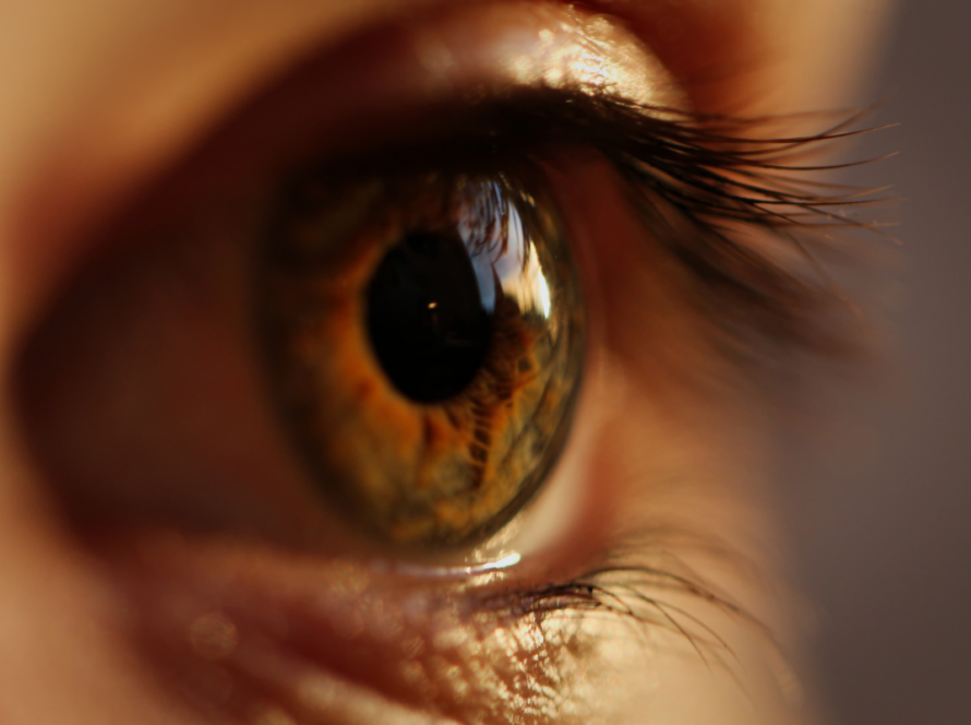 Ojo en detalle